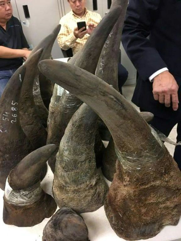 Vietnam is both a consumption hub and popular transit point for the multibillion dollar trade in animal parts