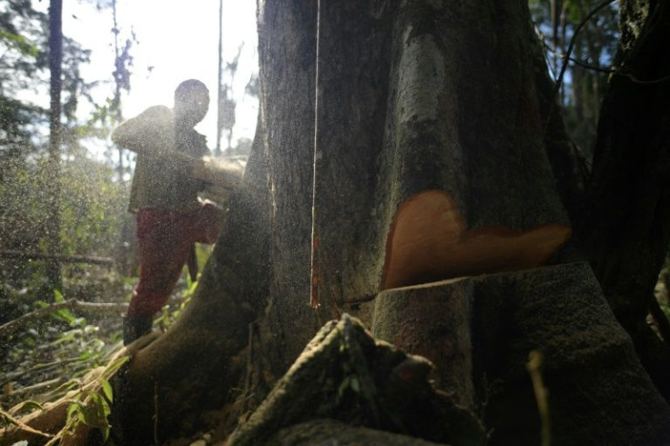 Ironically, the peace pact that ended near six decades of civil war in Colombia has boded ill for the Amazon which covers two-thirds of the country's forested area