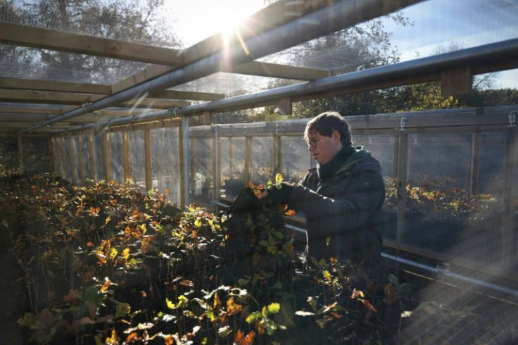 Moor Trees nursery says interest by the public in planting trees has been so storng that it hasn't had to seek out clients for three years