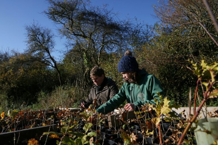 Moor Trees says planting more trees is just one of the solutions to the climate crisis