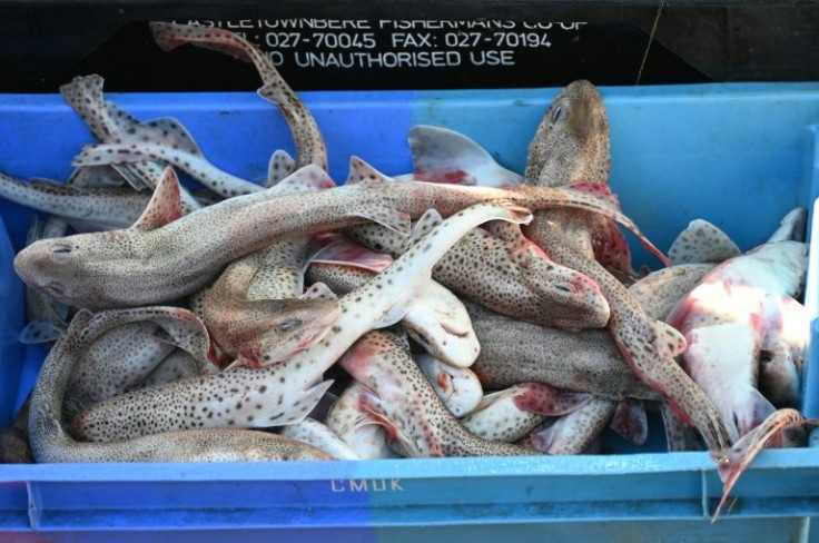 Fishing