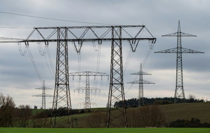 A growing number of Germans are fighting against the construction of electricity pylons near their homes, a trend that risks slowing down the transition to renewables