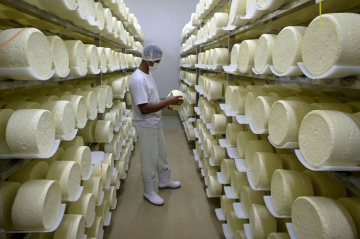 An employee holds a Santo Casamenteiro cheese stored in Cruzilia, in the southern region of Minas Gerais, Brazil: the newfound attention the cheeses have won has allowed producers to up their prices