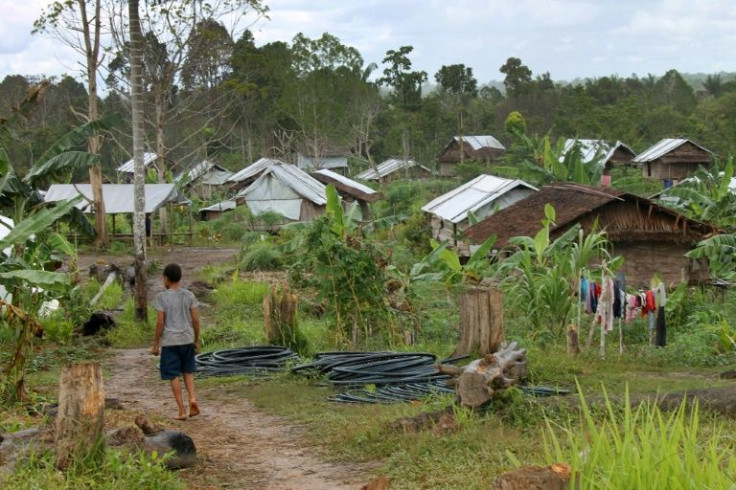 Nongganop and a few members of his Muyu tribe fled their homeland in 2019, crossing the poorly marked Indonesian border for the relative safety of remote western Papua New Guinea
