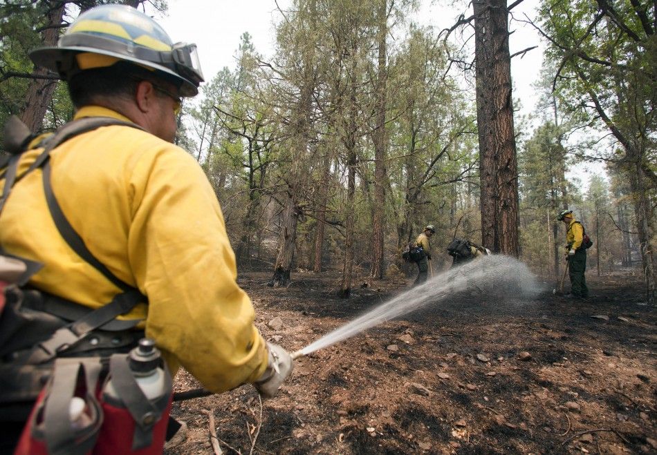 Wildland firefighters work at a hot spot on the eastern edge of the Wallow Wildfire outside Alpine