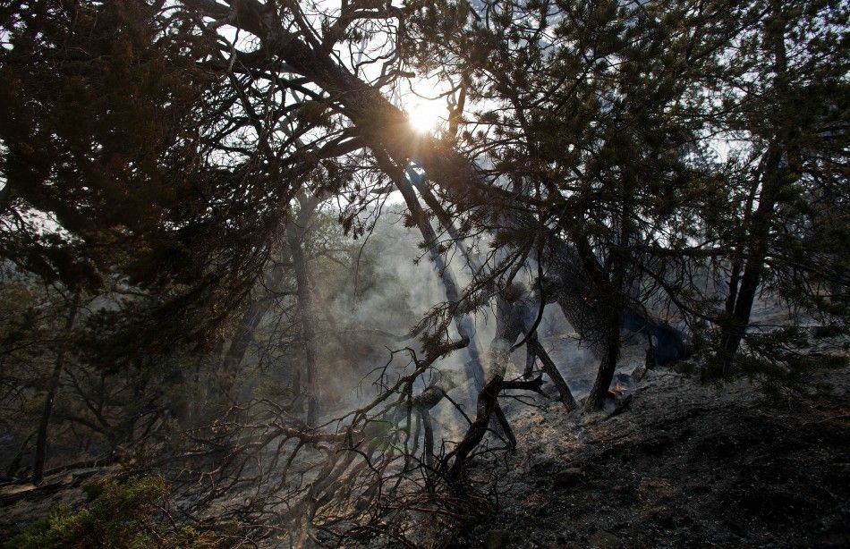 The sun sets over a smoldering tree on the eastern edge of the Wallow Wildfire outside Alpine, Arizona