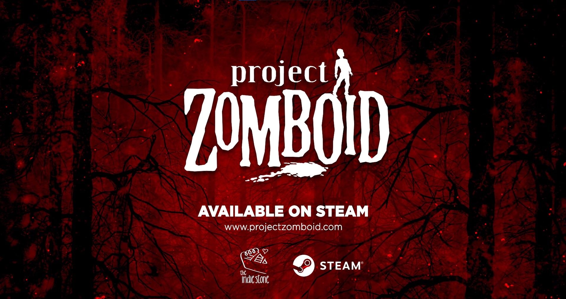 Project zomboid свой сервер стим фото 34