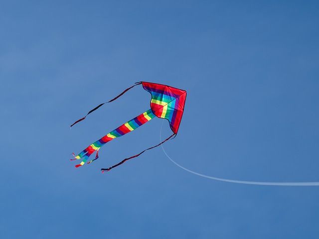 Man Clings For Life After Being Lifted 30 Feet In Air While Flying Kite ...