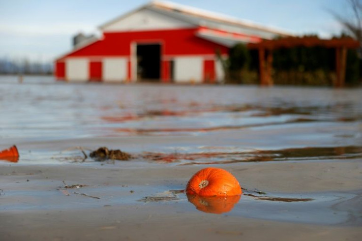 A pumpkins floats in floodwaters at a farm in Abbotsford, east of Vancouver, in November 2021, following record rainfall that resulted in widespread flooding of farms, landslides and the evacuation of residents