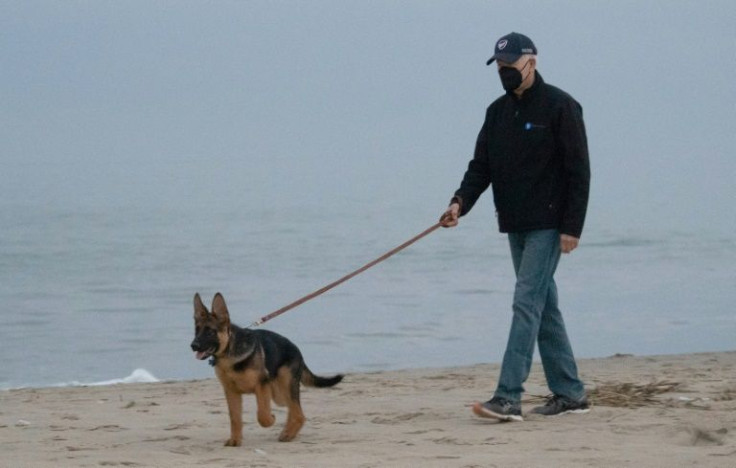US President Joe Biden walks his dog Commander on the beach in Rehoboth Beach, Delaware