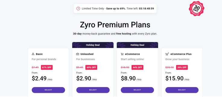 Zyro holiday deals