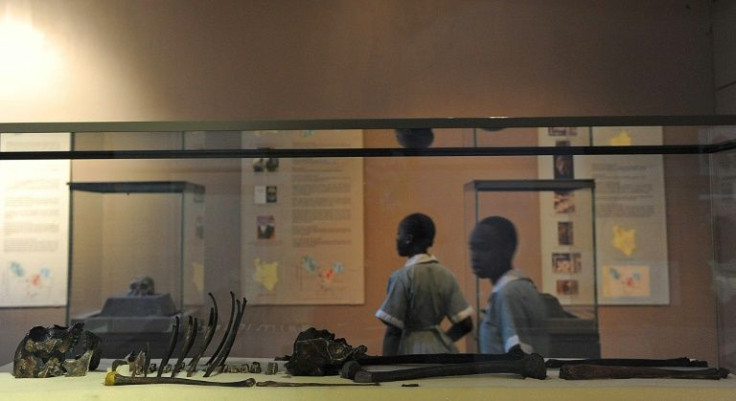 At Kenya's national museum in Nairobi, school children look at the nearly complete skeleton of "Turkana boy", today 1.6 million years old but aged about eight when he died.