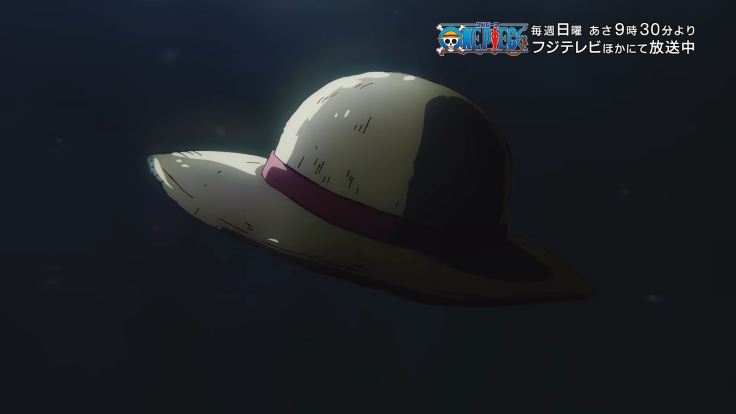 It's been a year since One Piece's Chapter 1044 dropped : r