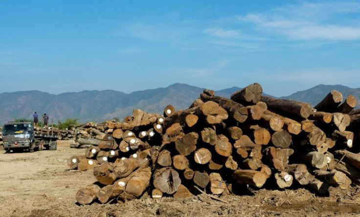 A Myanmar activist group has said nearly 1,600 tonnes of teak has been shipped to American companies in violation of US sanctions on the junta