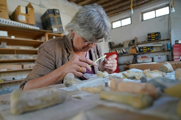 German archaeologist Margarete Van Ess inspects an artifact during a German-Iraqi archaeological expedition in the Warka site in Iraq's Muthanna province