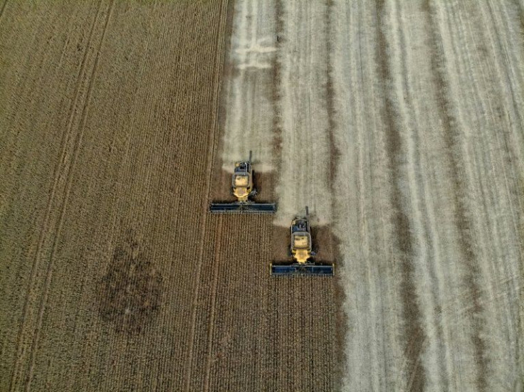 Harvest soybeans in Brazil. If tropical deforestation were a country, it would be the third biggest source of CO2 emissions after China and the US