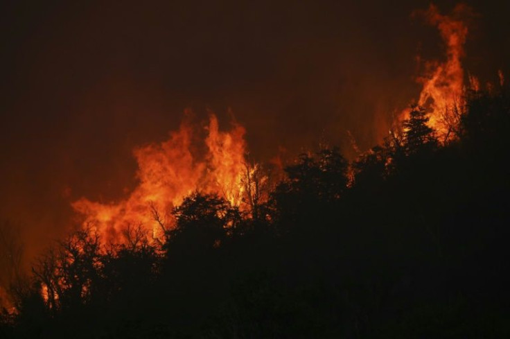 Flames from a huge forest fire are seen from Route 40, some 12 km from Paraje Villegas and 60 km south of Bariloche, Rio Negro Province, Argentina, on January 13, 2022