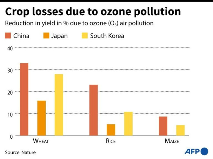 Graph showing crop losses due to ozone air pollution in China, Japan and South Korea, according to a study in Nature.