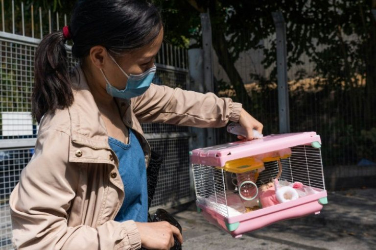 A woman hands in her hamster named "Marshmallow" to a government-run animal management centre