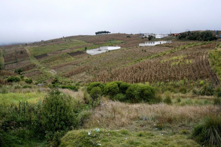 Corn plantations are seen in Santa Catarina Ixtahuacan, Guatemala on December 21, 2021, as indigenous people block a road, demanding the government help resolve a sometimes violent conflict between two communities