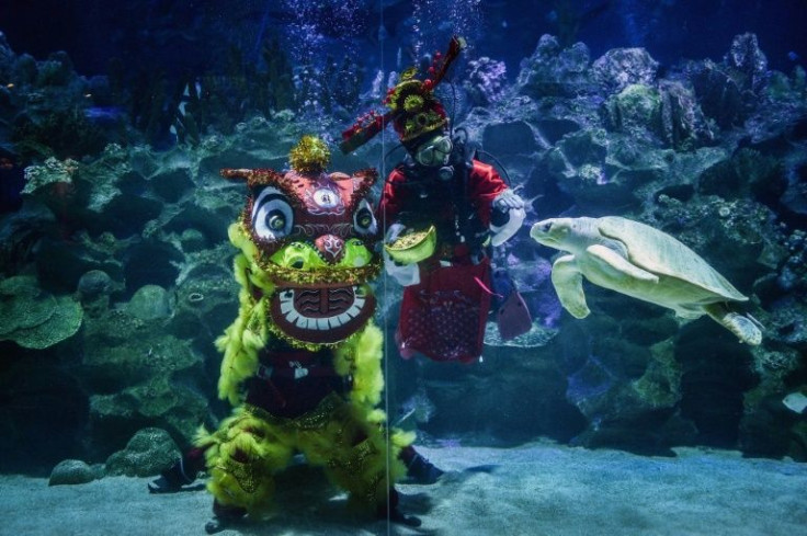 Lion dances are traditionally performed in China and among ethnic Chinese communities all over the world to mark the Lunar New Year