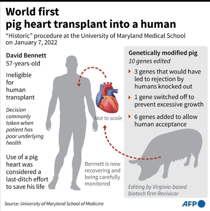 Factfile on the world's first transplant of a pig heart into a human.