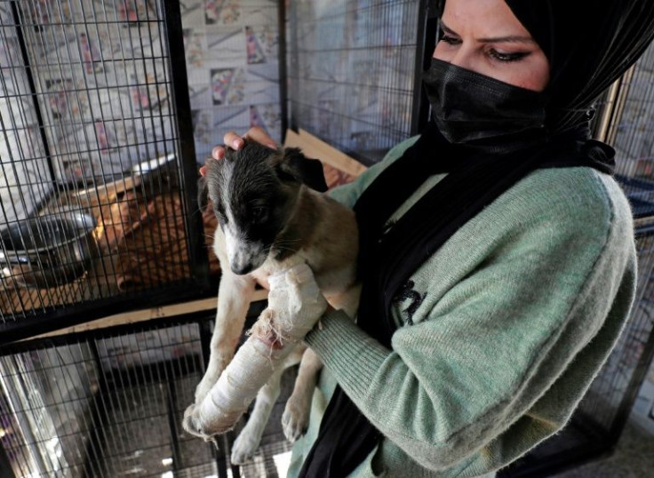 A dog gets some attention from a volunteer at the shelter, which opened around a week ago