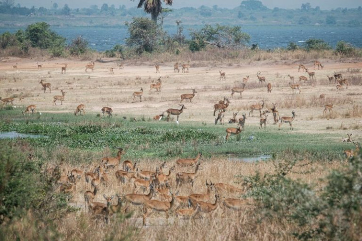 Some drilling is taking place in the Murchison Falls National Park in Uganda