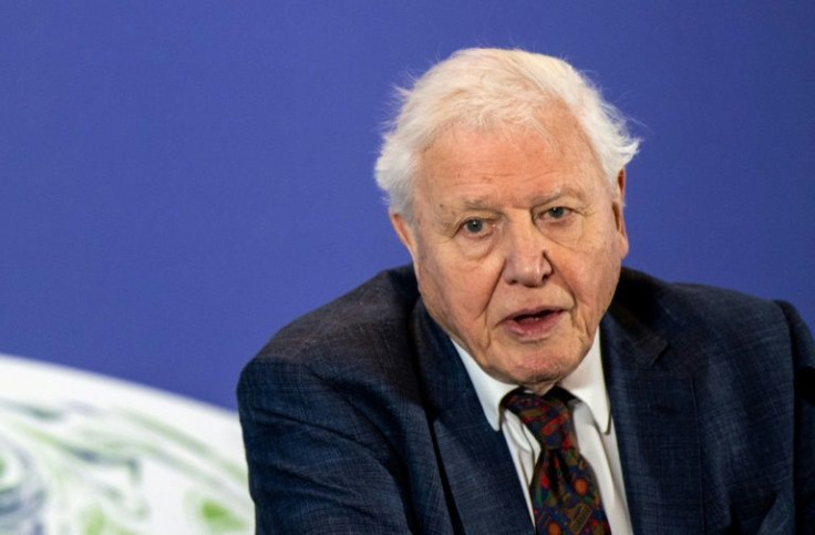 British broadcaster and conservationist David Attenborough is a likely nominee for the Nobel Peace Prize