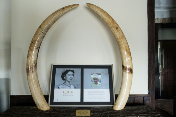 Memorabilia of Elizabeth's visit on display at Treetops lodge