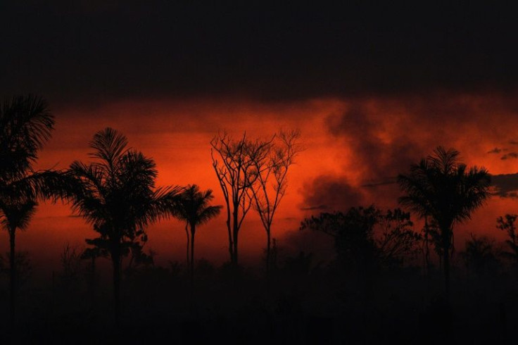 In this file photo taken on August 11, 2020 smoke rises from an illegal fire in Amazon rainforest reserve, north of Sinop in Mato Grosso state, Brazil
