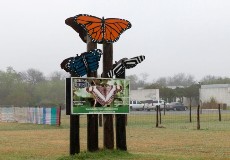 The private sanctuary's gardens are home to more than 200 species of butterfly as well as bobcats, coyotes, peccaries, armadillos and Texas tortoises