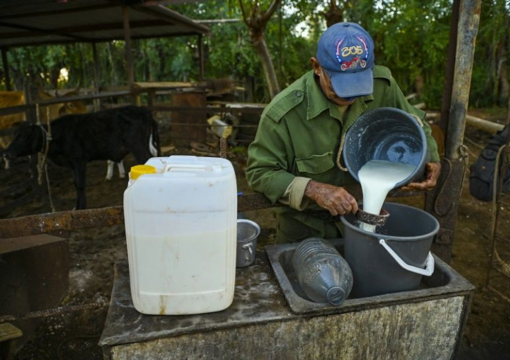 Every drop of milk is precious in Cuba, where the commodity is in short supply