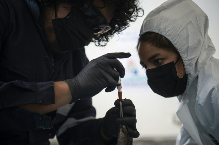 The spill was described as an "ecological disaster" by the Peruvian government