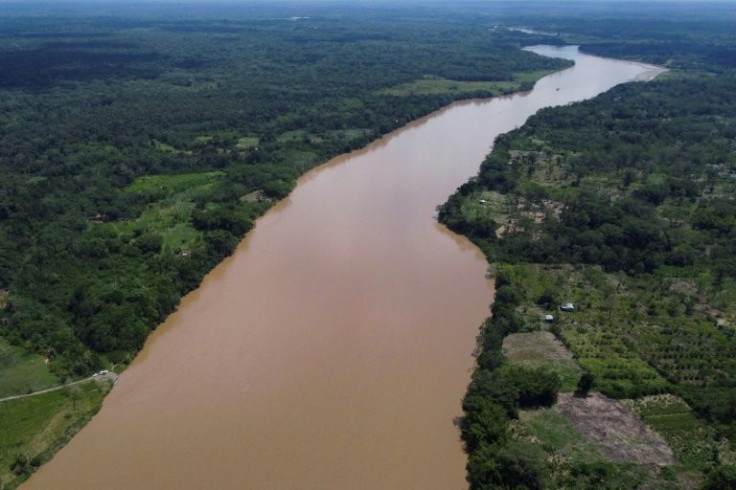 The report said the month of January recorded the 'highest hot spot values in the last 10 years' in the Colombian Amazon