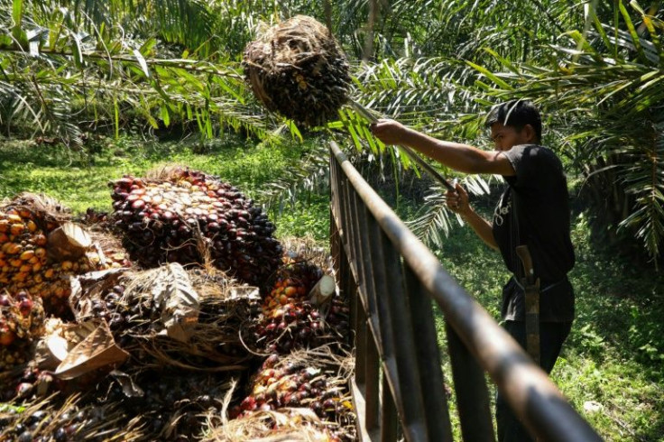 Palm oil was among the key export commodities that helped return Indonesia to economic growth in 2021
