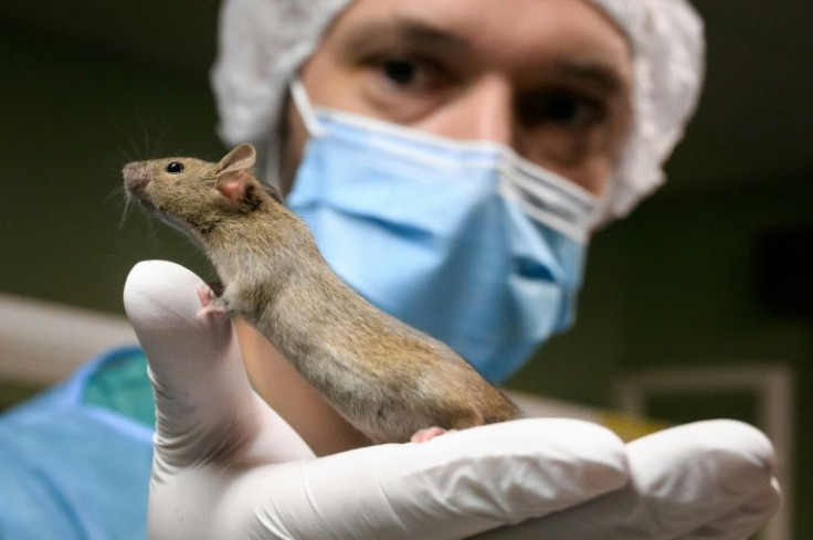There is little chance that a bid to ban all animal and human testing will pass