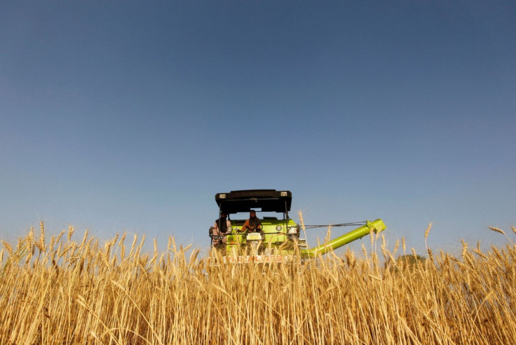 A combine harvester is used to harvest wheat in a field on the outskirts of the western Indian city of Ahmedabad on March 14, 2013.