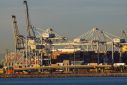 Container trucks , ships and cranes are shown at the Port of Long Beach as supply chain problem continue from Long Beach, California, U.S. November 22, 2021. 