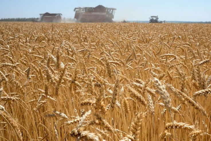 Wheat and corn, two commodities produced on a massive scale by Russia and Ukraine, have been susceptible to wild price fluctuations since the crisis between the two countries escalated in January 2022