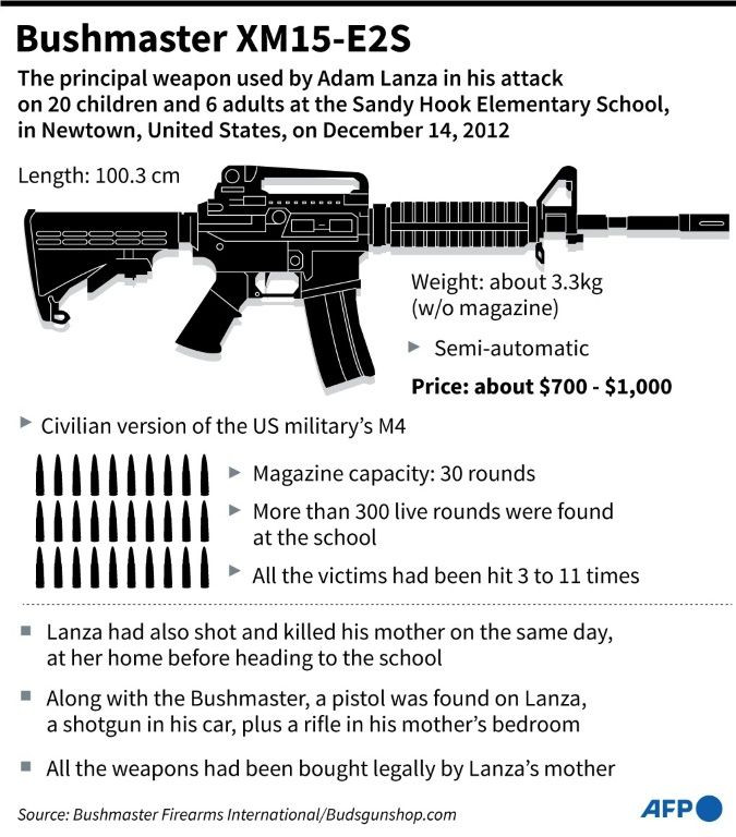 Graphic on the gun used in the 2012 Sandy Hook school massacre in Newtown, the United States.