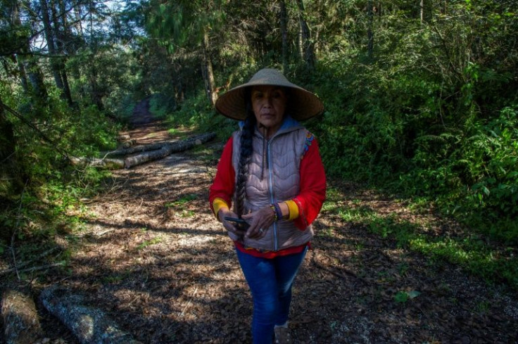 Filiberta Nevado refuses to give up her work protecting the forests of central Mexico despite receiving death threats