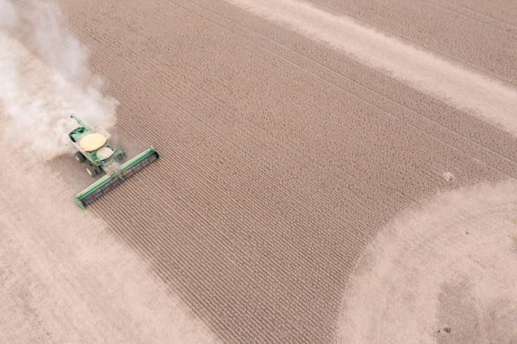 An aerial view of a combine harvester as it  harvests soybeans in Deerfield, Ohio, U.S., October 7, 2021.  Picture taken with a drone. Picture taken October 7, 2021. 