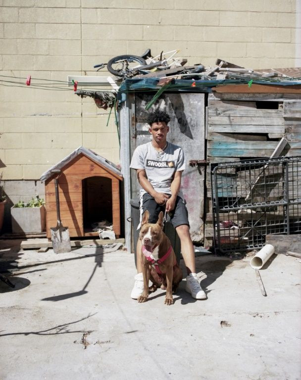 Owning a fierce dog provides social status and protection against intruders