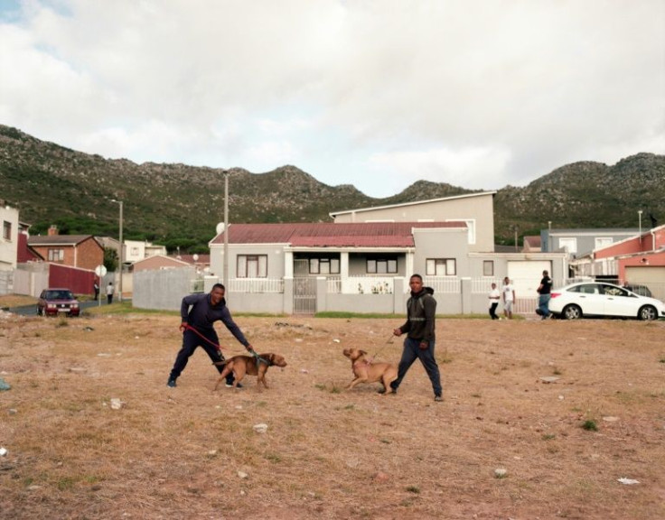 Men pose with their dogs in Ocean View, a township about 40 kilometres (25 miles) from Cape Town