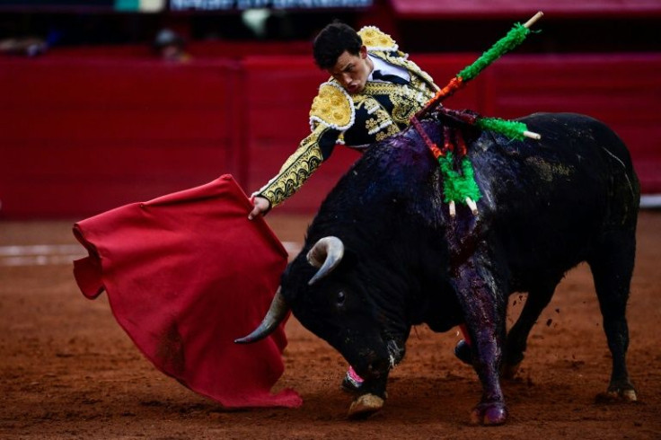 Matador Miguel Aguilar performs a pass during a bullfight in Mexico City, where lawmakers are considering banning the centuries-old practice