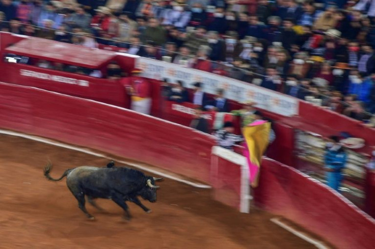 Bullfighting is big business in Mexico, where it generated $343 million in 2018