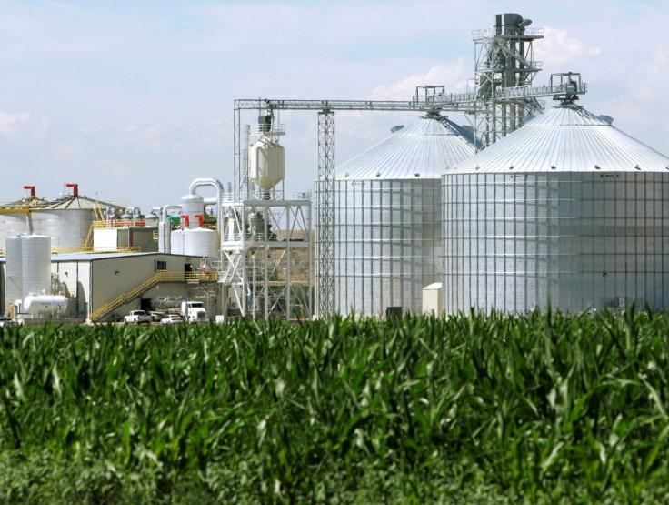 An ethanol plant with its giant corn silos next to a cornfield in Windsor, Colorado July 7, 2006/File Photo