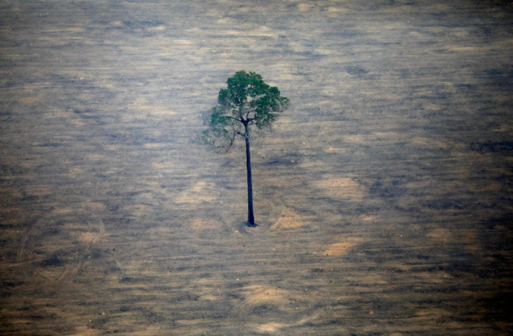 An aerial view shows a deforested plot of the Amazon near Porto Velho, Rondonia State, Brazil, September 17, 2019. 