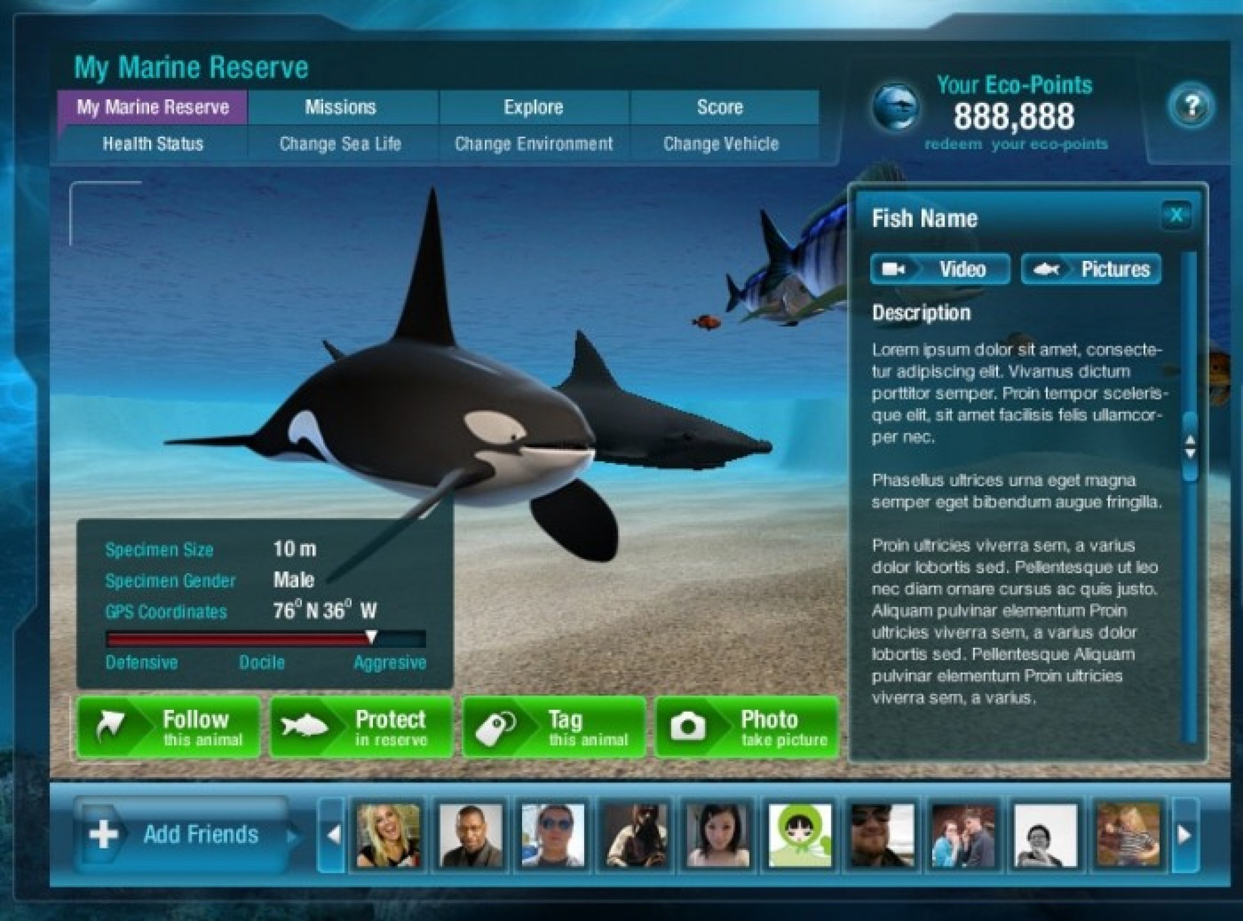 One Ocean Interactive